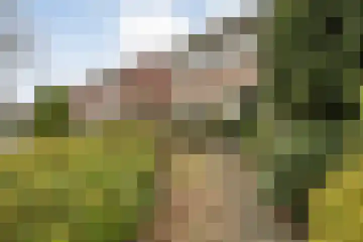 Helmichstraat 2 Luttenberg thumbnail 33
