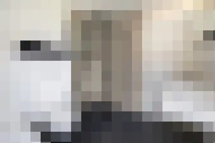 Helmichstraat 26 Luttenberg thumbnail 20