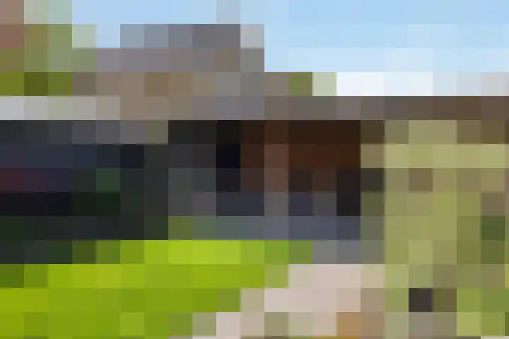 Helmichstraat 26 Luttenberg thumbnail 26