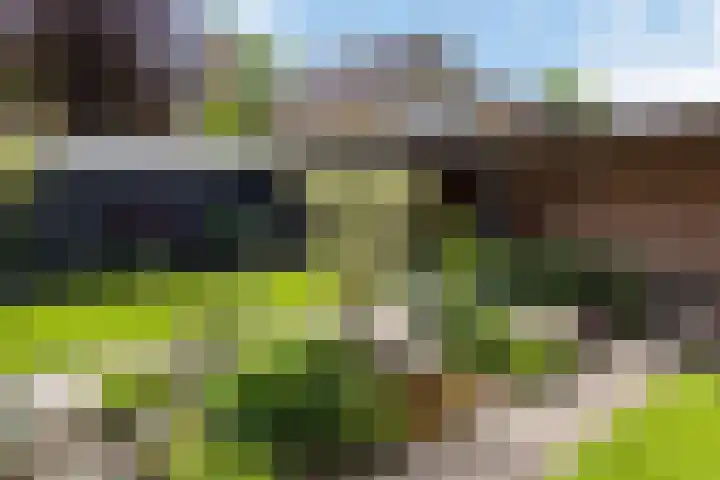 Helmichstraat 26 Luttenberg thumbnail 27