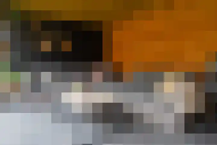Helmichstraat 26 Luttenberg thumbnail 28