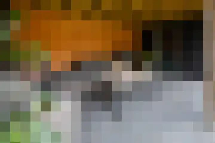 Helmichstraat 26 Luttenberg thumbnail 29