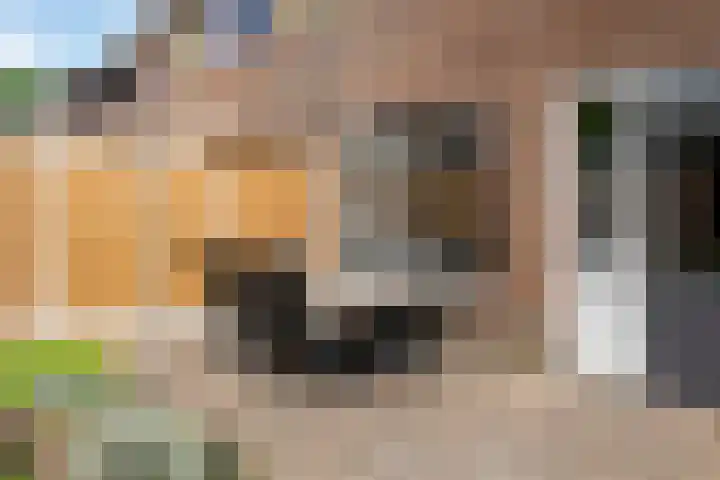 Helmichstraat 26 Luttenberg thumbnail 30