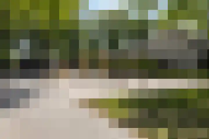 Helmichstraat 26 Luttenberg thumbnail 31