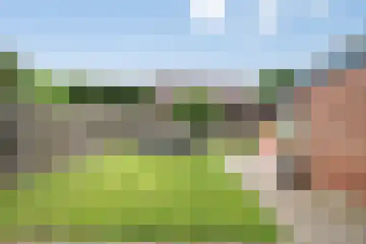 Helmissenstraat 10 Broekhuizen thumbnail 12