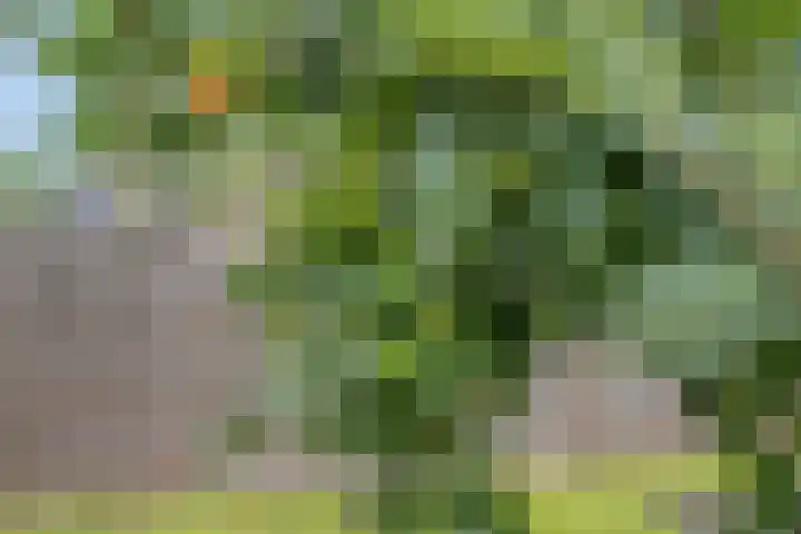 Helmissenstraat 10 Broekhuizen thumbnail 13