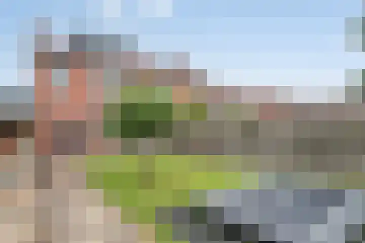 Helmissenstraat 10 Broekhuizen thumbnail 14