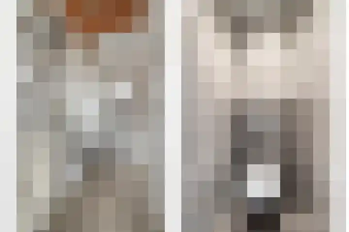 Helmissenstraat 10 Broekhuizen thumbnail 16