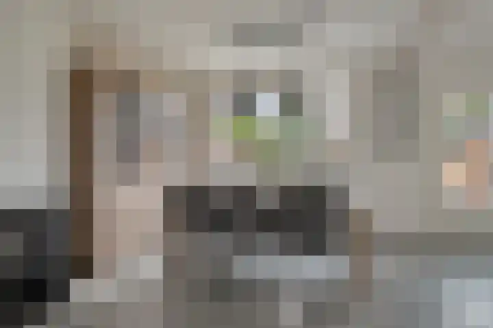 Helmissenstraat 10 Broekhuizen thumbnail 9