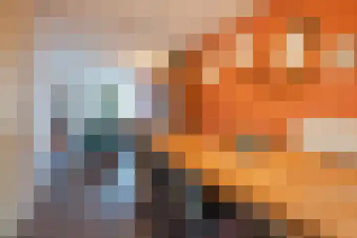Helmissenstraat 9 Broekhuizen thumbnail 15