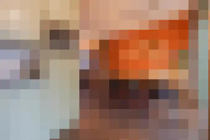 Helmissenstraat 9 Broekhuizen thumbnail 17