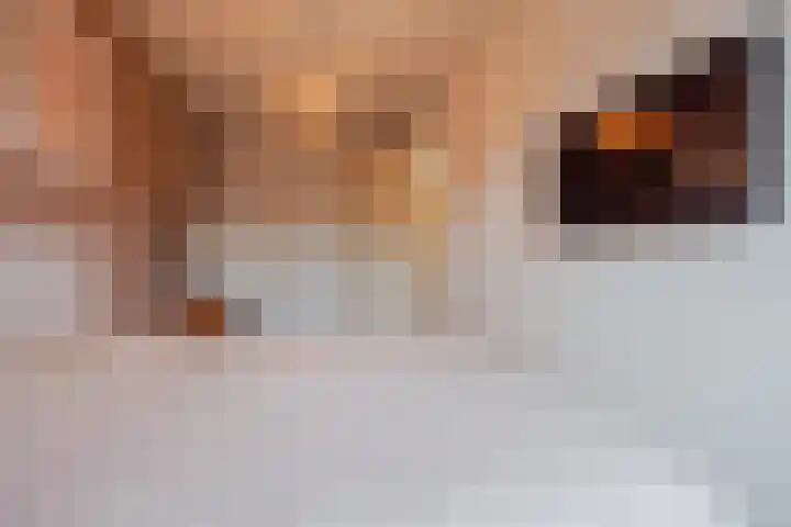 Helmissenstraat 9 Broekhuizen thumbnail 22