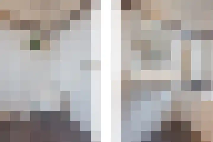 Helmissenstraat 9 Broekhuizen thumbnail 27