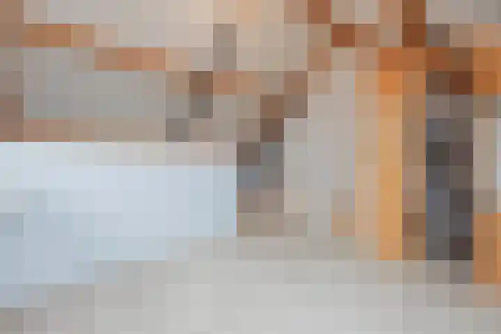 Helmissenstraat 9 Broekhuizen thumbnail 30