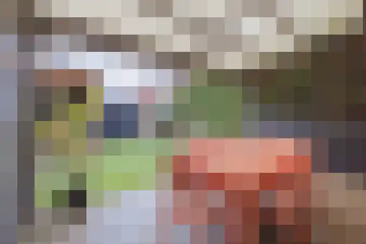 Helmissenstraat 9 Broekhuizen thumbnail 32
