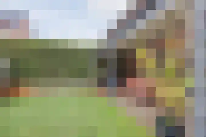 Helmissenstraat 9 Broekhuizen thumbnail 33