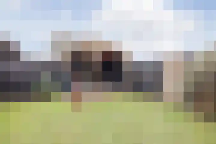 Helmissenstraat 9 Broekhuizen thumbnail 34