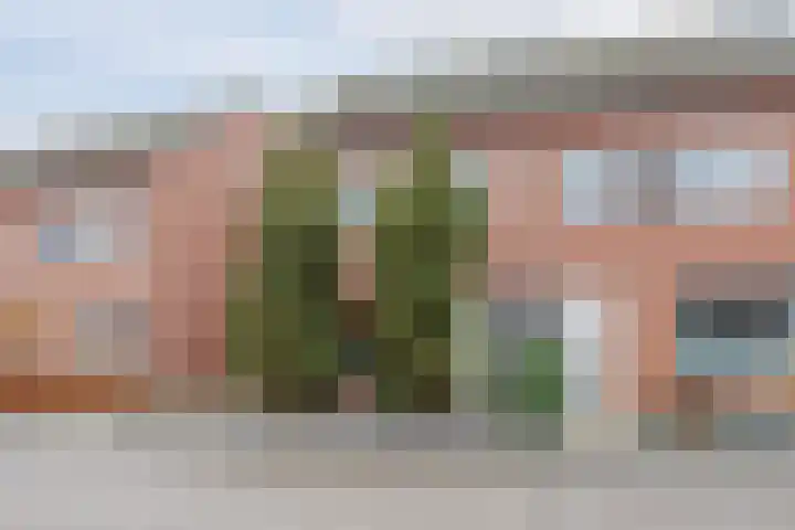 Helmissenstraat 9 Broekhuizen thumbnail 7