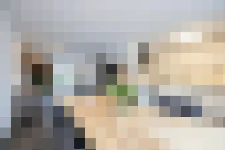 Helmkruid 11 Udenhout thumbnail 13