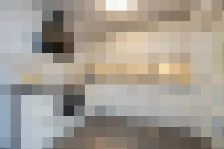 Helmkruid 11 Udenhout thumbnail 16