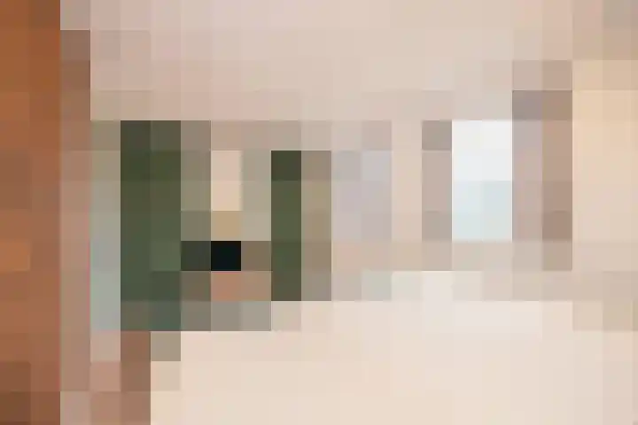 Helmkruid 11 Udenhout thumbnail 19