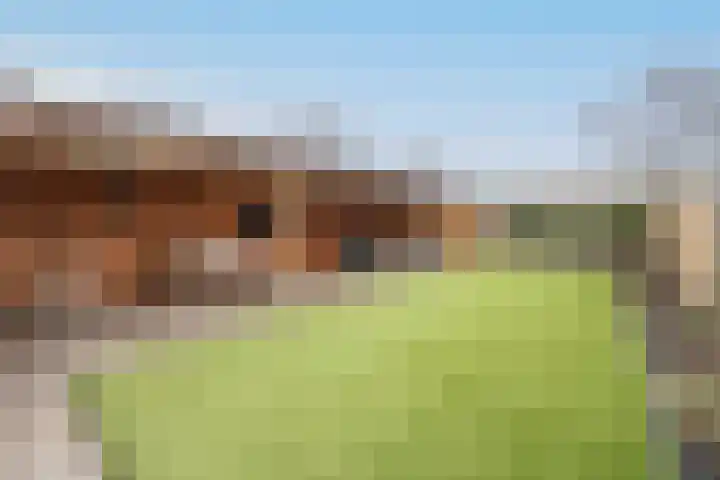 Helmkruid 11 Udenhout thumbnail 27
