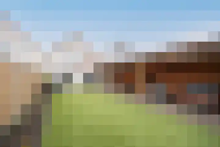 Helmkruid 11 Udenhout thumbnail 28