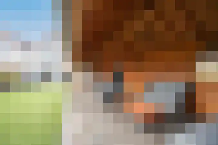 Helmkruid 11 Udenhout thumbnail 30