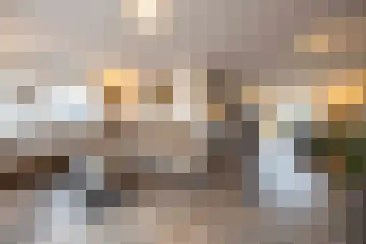 Helmkruid 11 Udenhout thumbnail 4