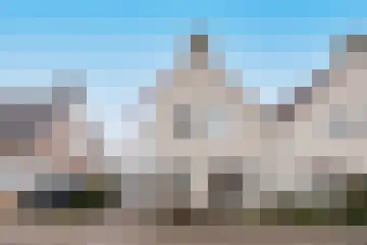 Helmkruid 11 Udenhout thumbnail 6