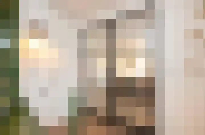 Helmkruid 11 Udenhout thumbnail 8