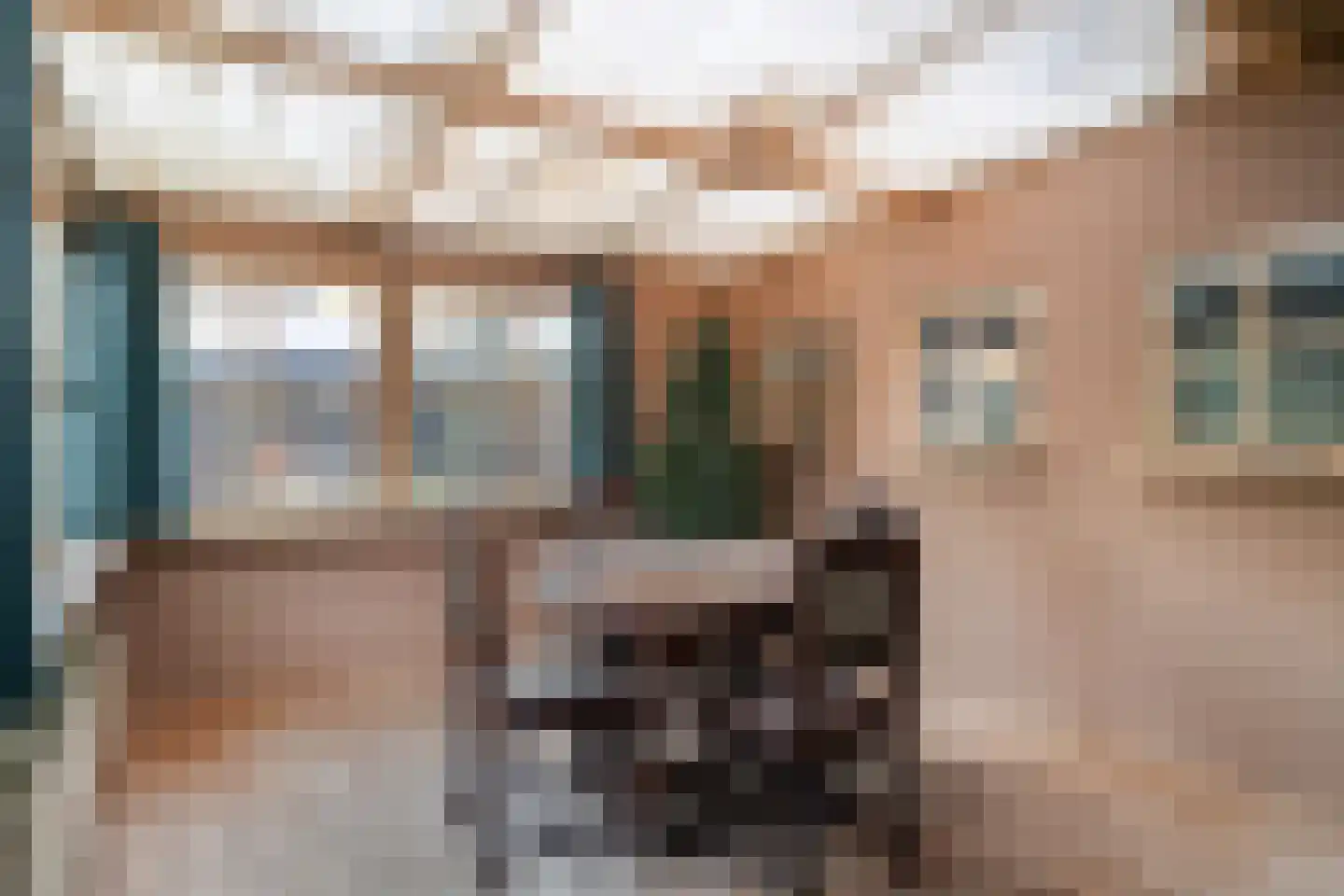 Helmkruid 15 Asten thumbnail 14