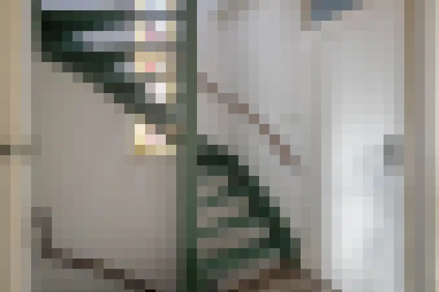 Helmkruid 15 Asten thumbnail 15