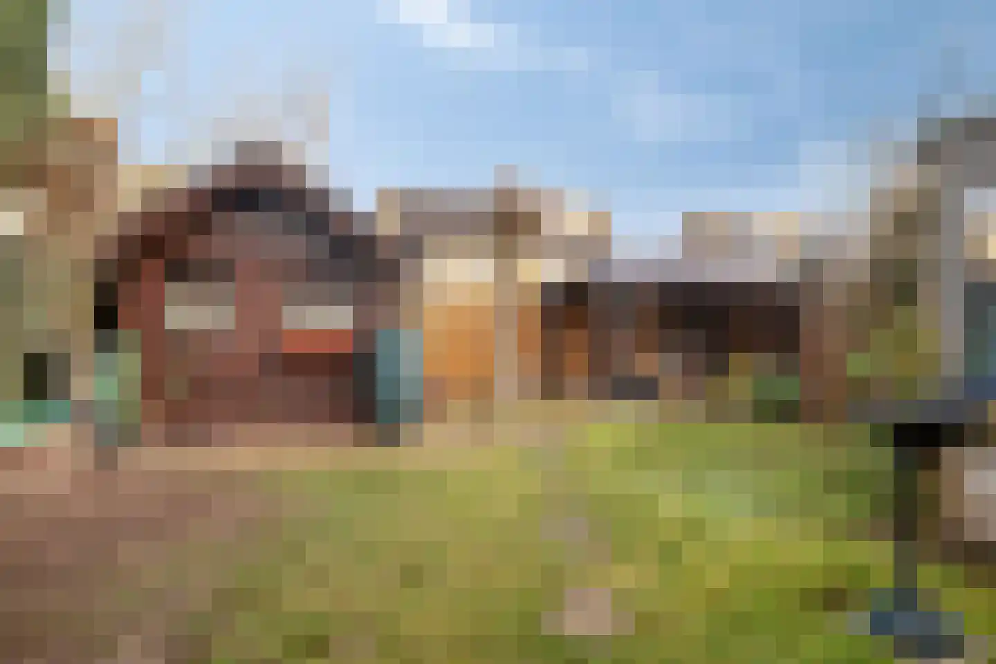 Helmkruid 15 Asten thumbnail 28