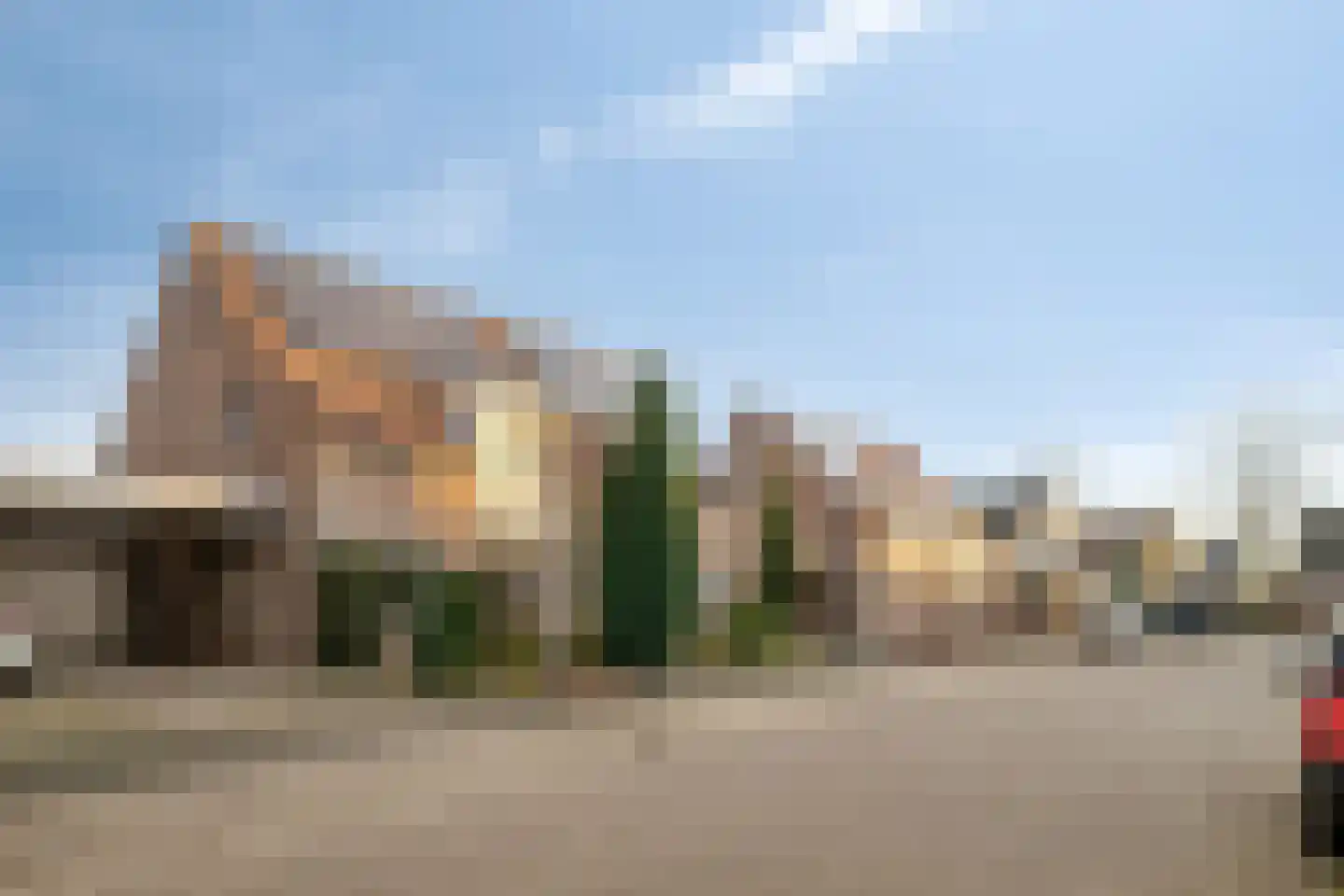 Helmkruid 15 Asten thumbnail 31