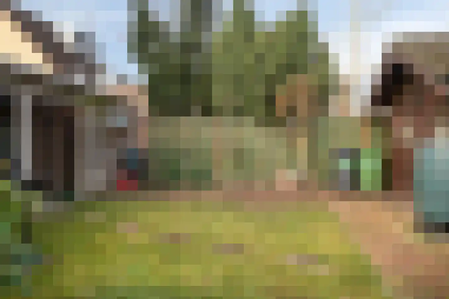 Helmkruid 15 Asten thumbnail 34