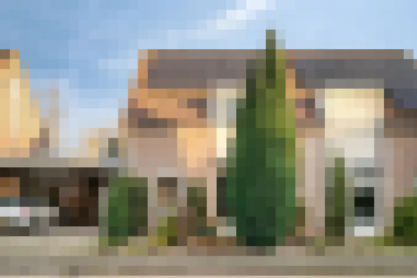 Helmkruid 15 Asten thumbnail 36