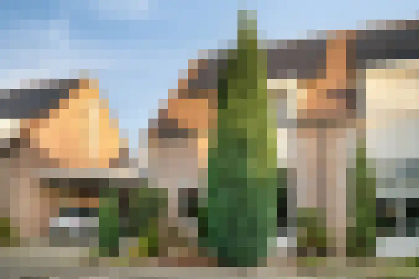 Helmkruid 15 Asten thumbnail 37