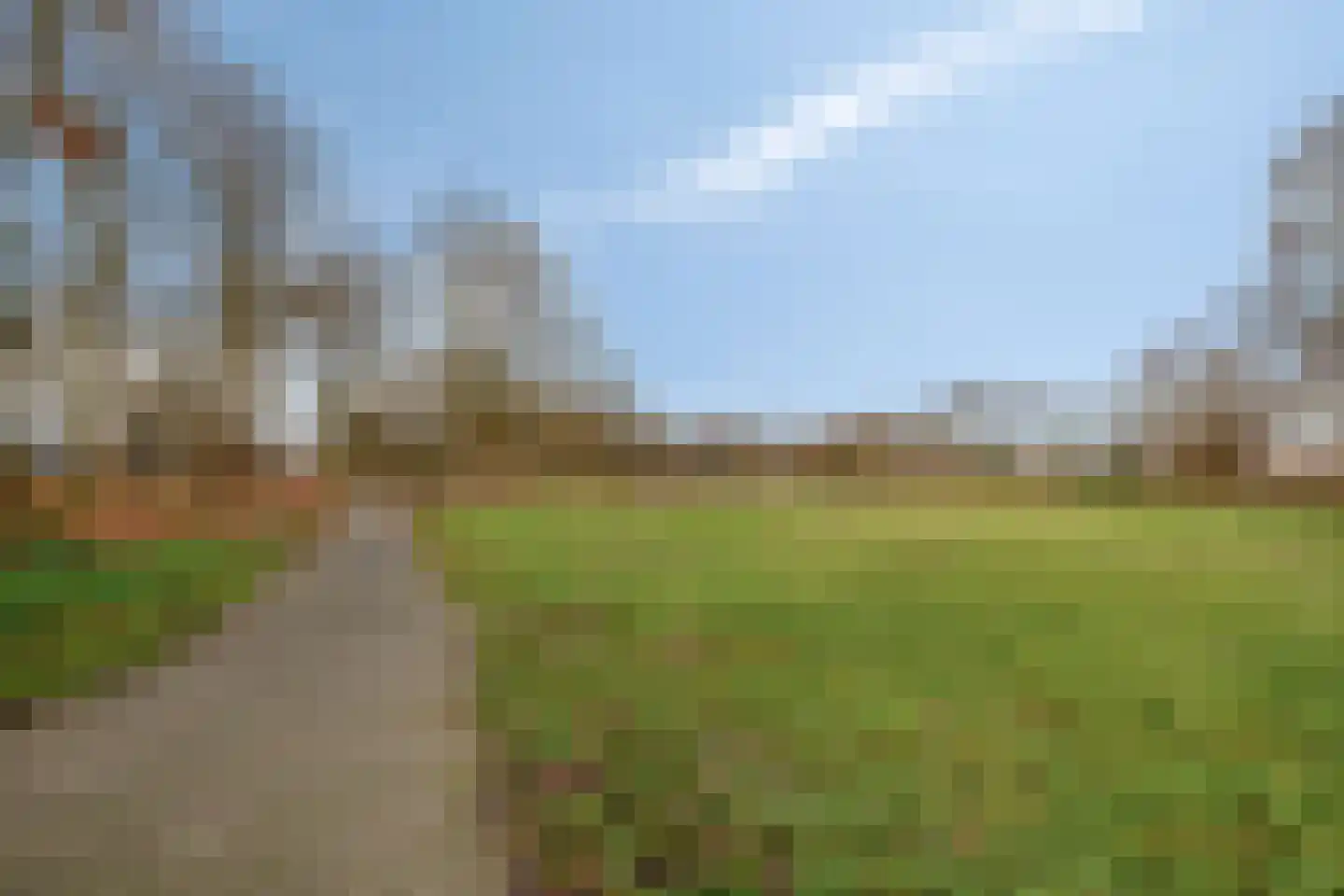 Helmkruid 15 Asten thumbnail 38