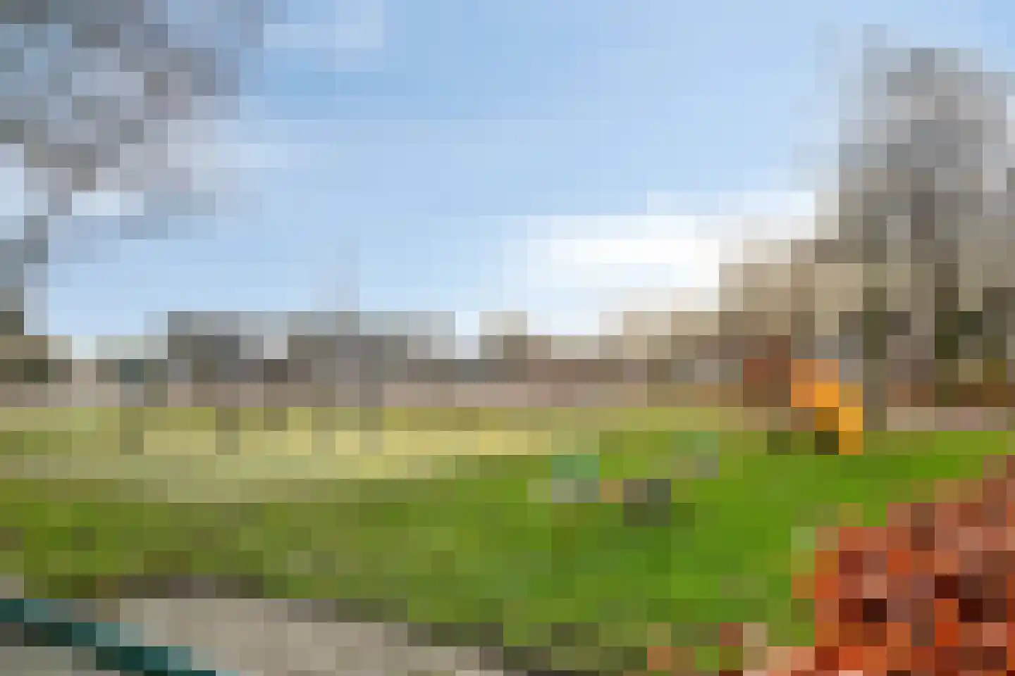 Helmkruid 15 Asten thumbnail 39
