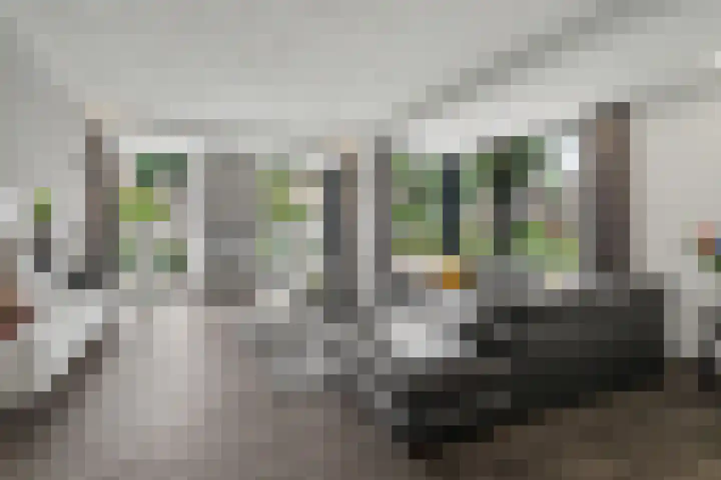 Helmkruid 2 Bladel thumbnail 11