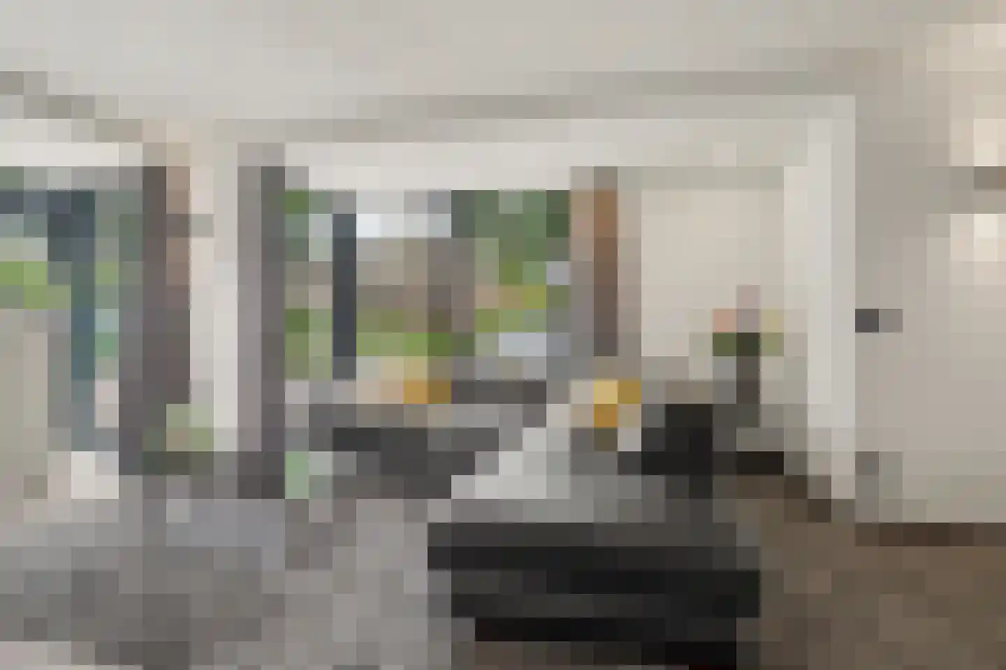 Helmkruid 2 Bladel thumbnail 12