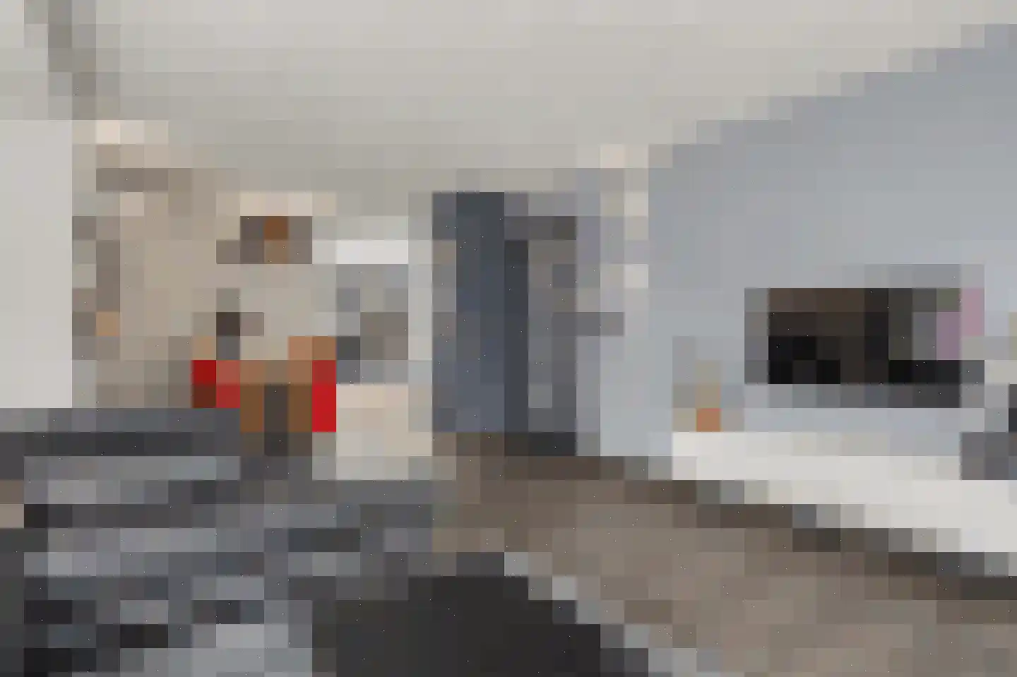 Helmkruid 2 Bladel thumbnail 14