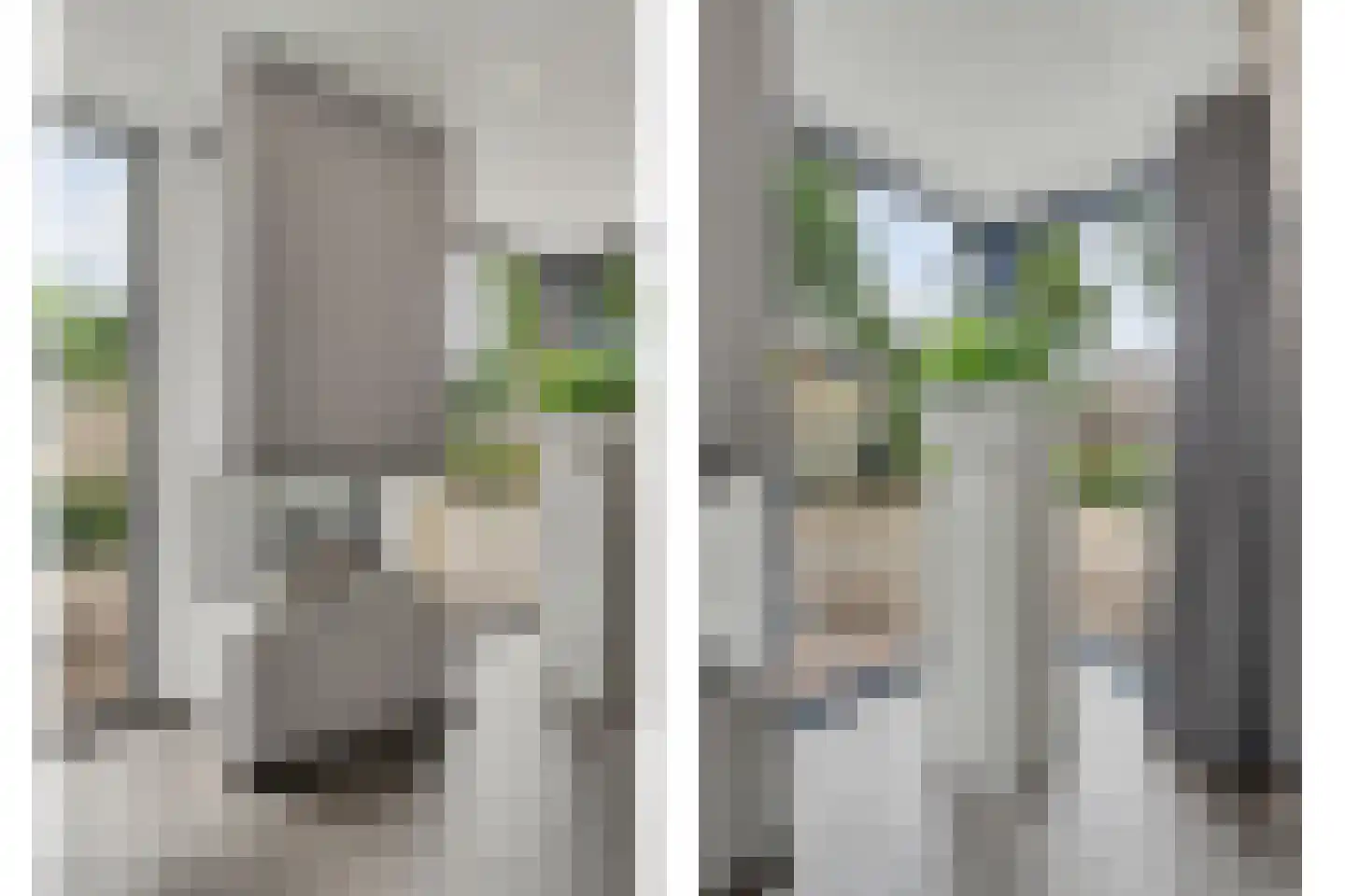 Helmkruid 2 Bladel thumbnail 15