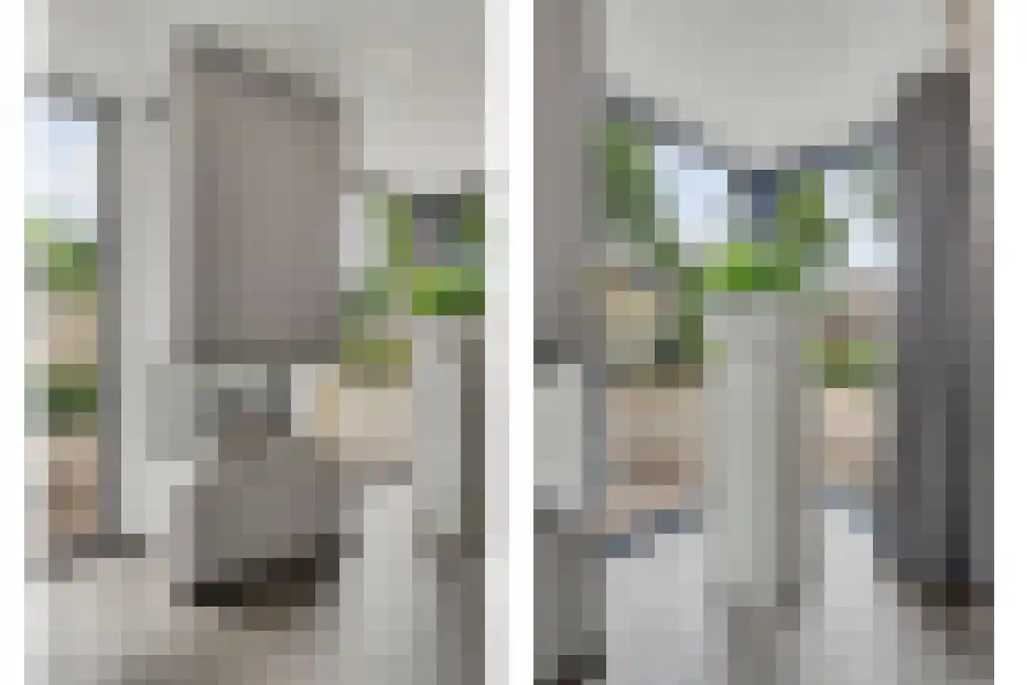Helmkruid 2 Bladel thumbnail 18