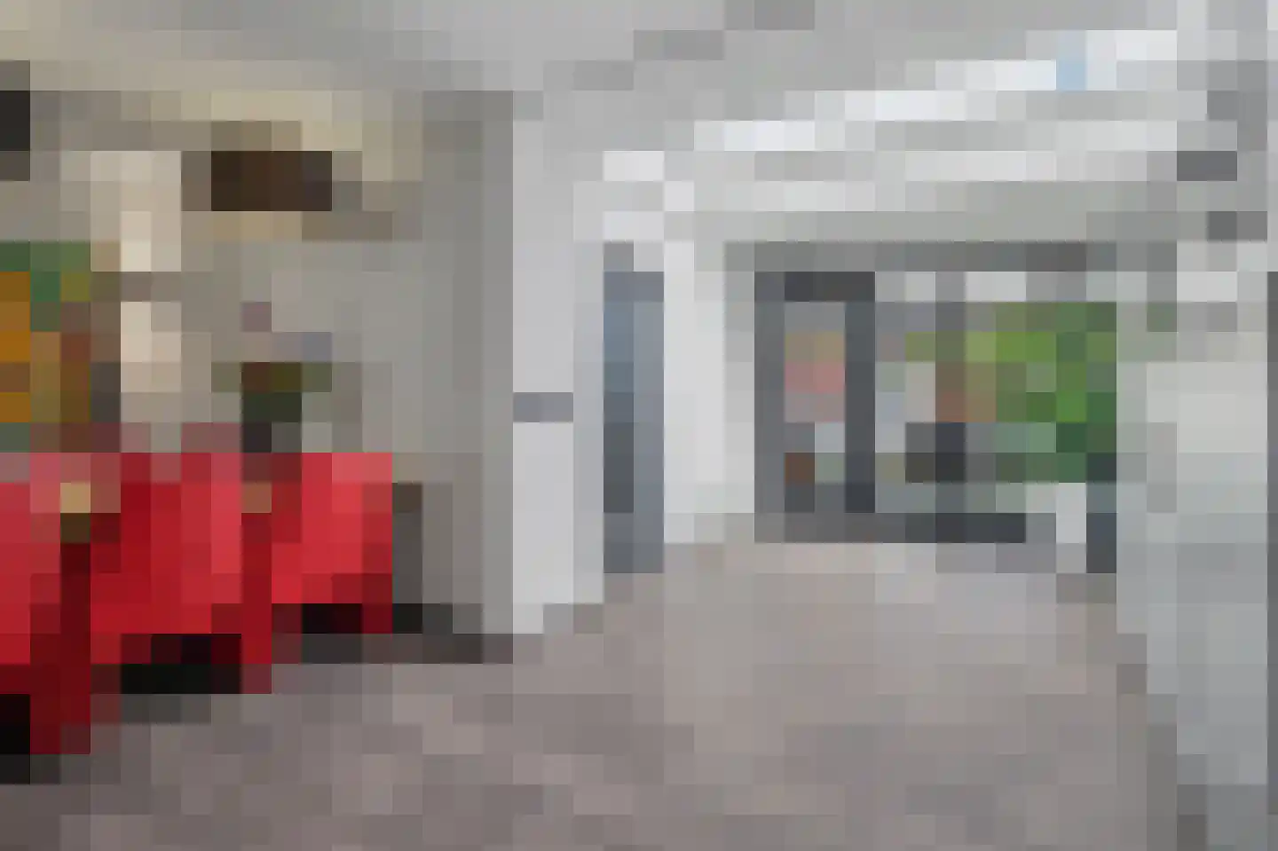 Helmkruid 2 Bladel thumbnail 18