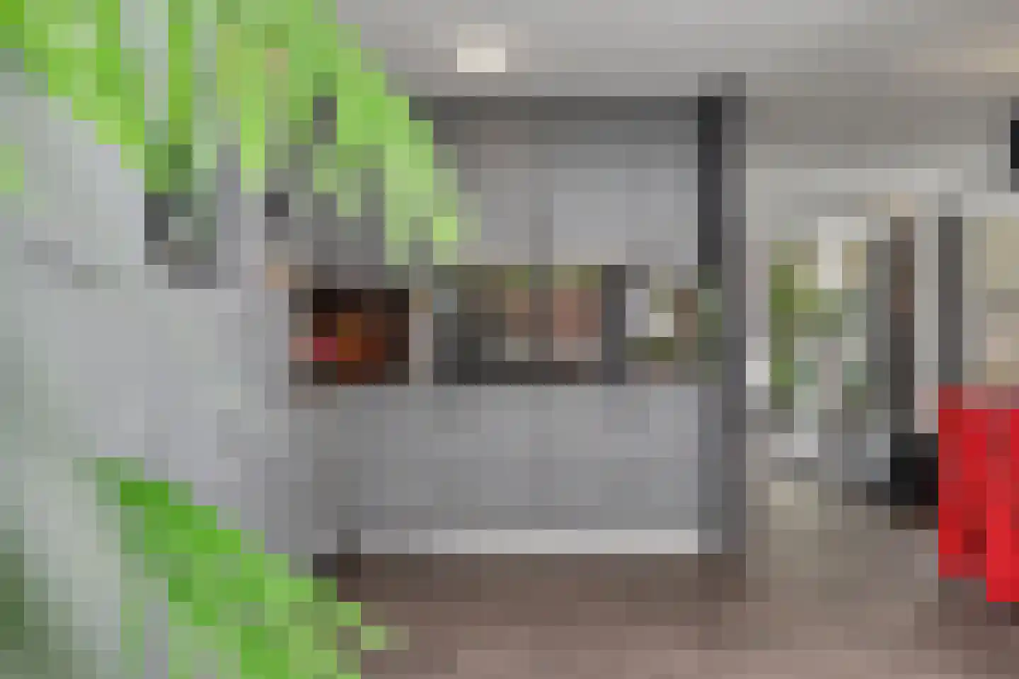 Helmkruid 2 Bladel thumbnail 19