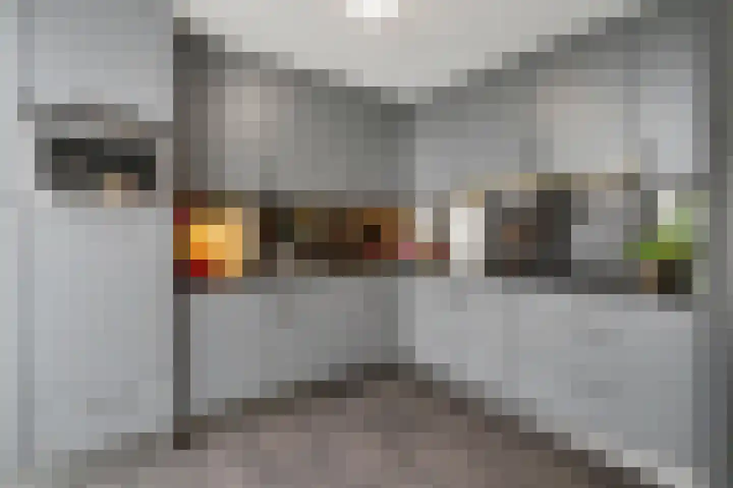 Helmkruid 2 Bladel thumbnail 22