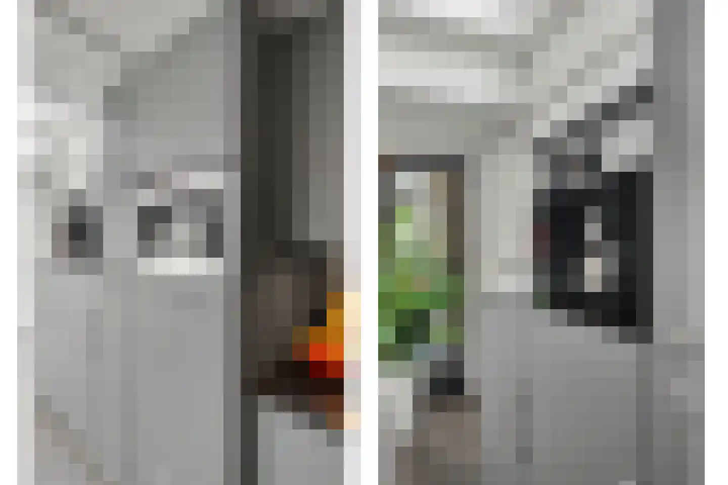 Helmkruid 2 Bladel thumbnail 24