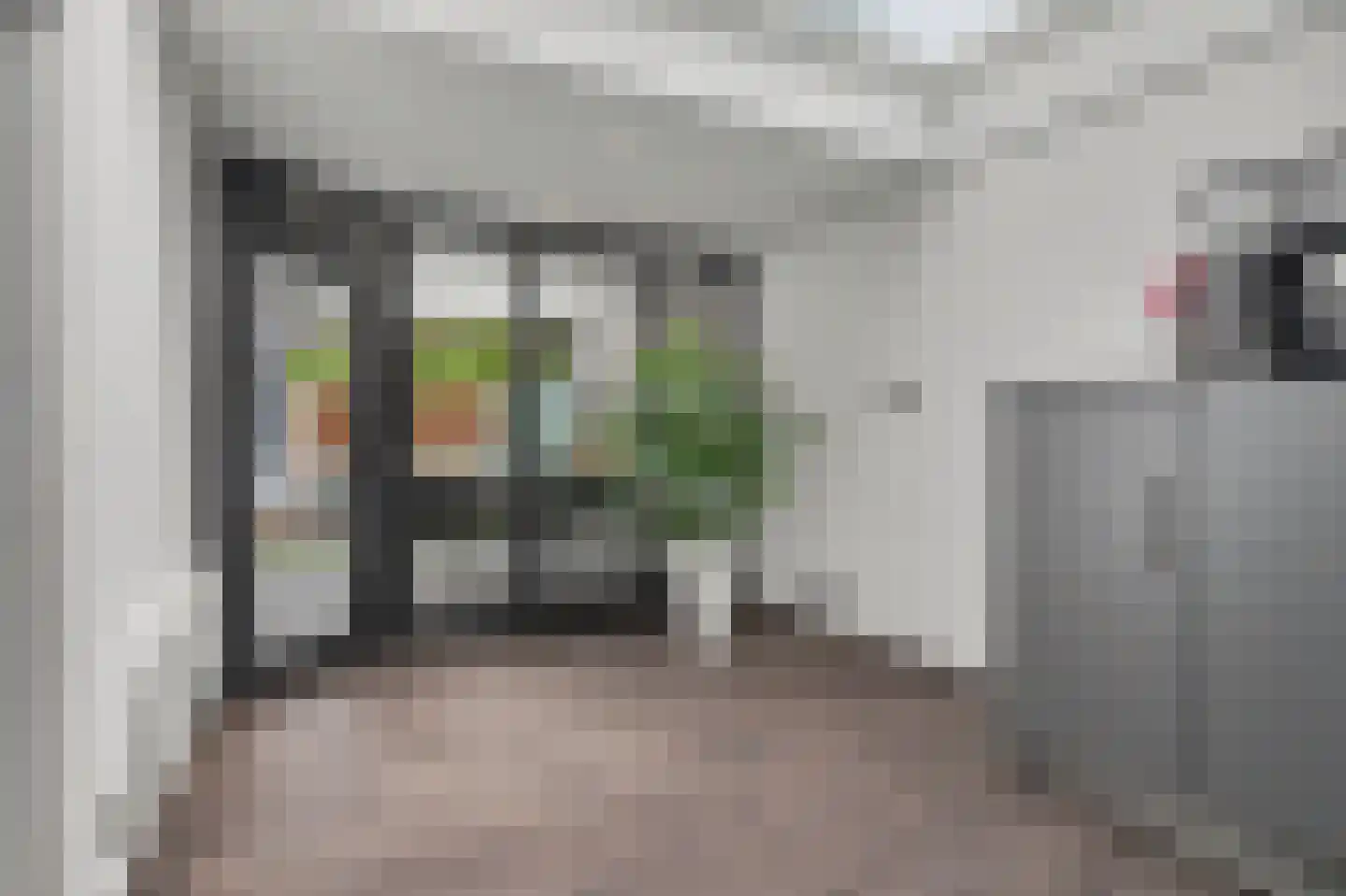 Helmkruid 2 Bladel thumbnail 25